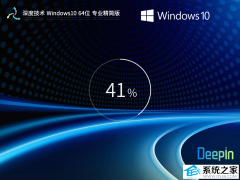 深度技术Windows10 22H2 64位专业装机版V202