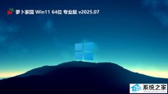 萝卜家园Ghost Win11 64位优化装机专业版V