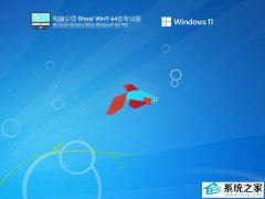 电脑公司Ghost Win11 24h2 64位精简纯净专业版V2025