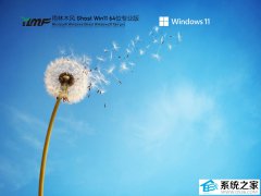 雨林木风Ghost Win11 24h2 64位纯净专业版V2