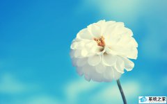装机员硬盘安装win11/win10/win7系统的方法