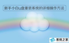 新手小白u盘重装系统的详细操作方法