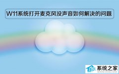 Windows 11系统打开麦克风没声音如何解决的