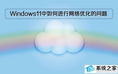 Windows11系统中如何进行网络优化的问题